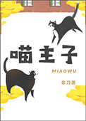 喵主子的睡姿